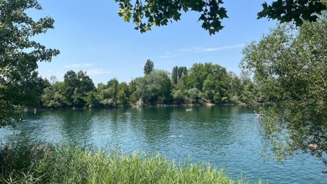Stollenwörthweiher | Foto: zg