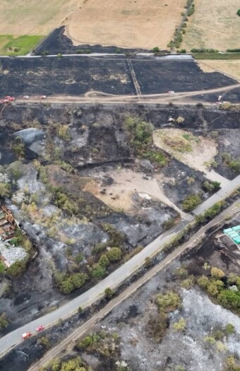 brand friesenheimer insel signal 2026 07 29 14 24 37 712 stadt mannheim 340x525 - Gr&ouml;&szlig;ter Vegetationsbrand in Mannheim seit 1976